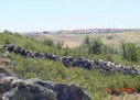 El Valle desde los Pocitos. 